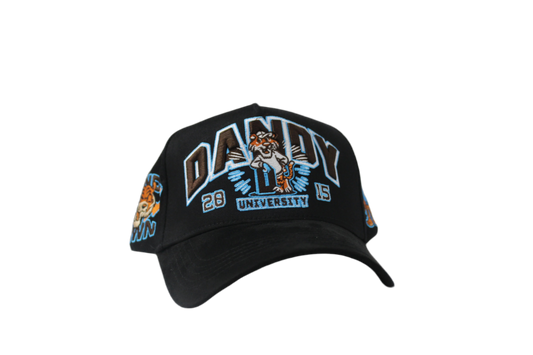 DandyHats-Dandy University