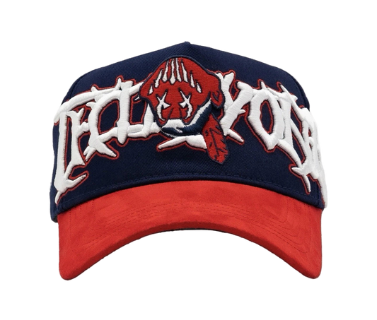 World Series 31 Hats
